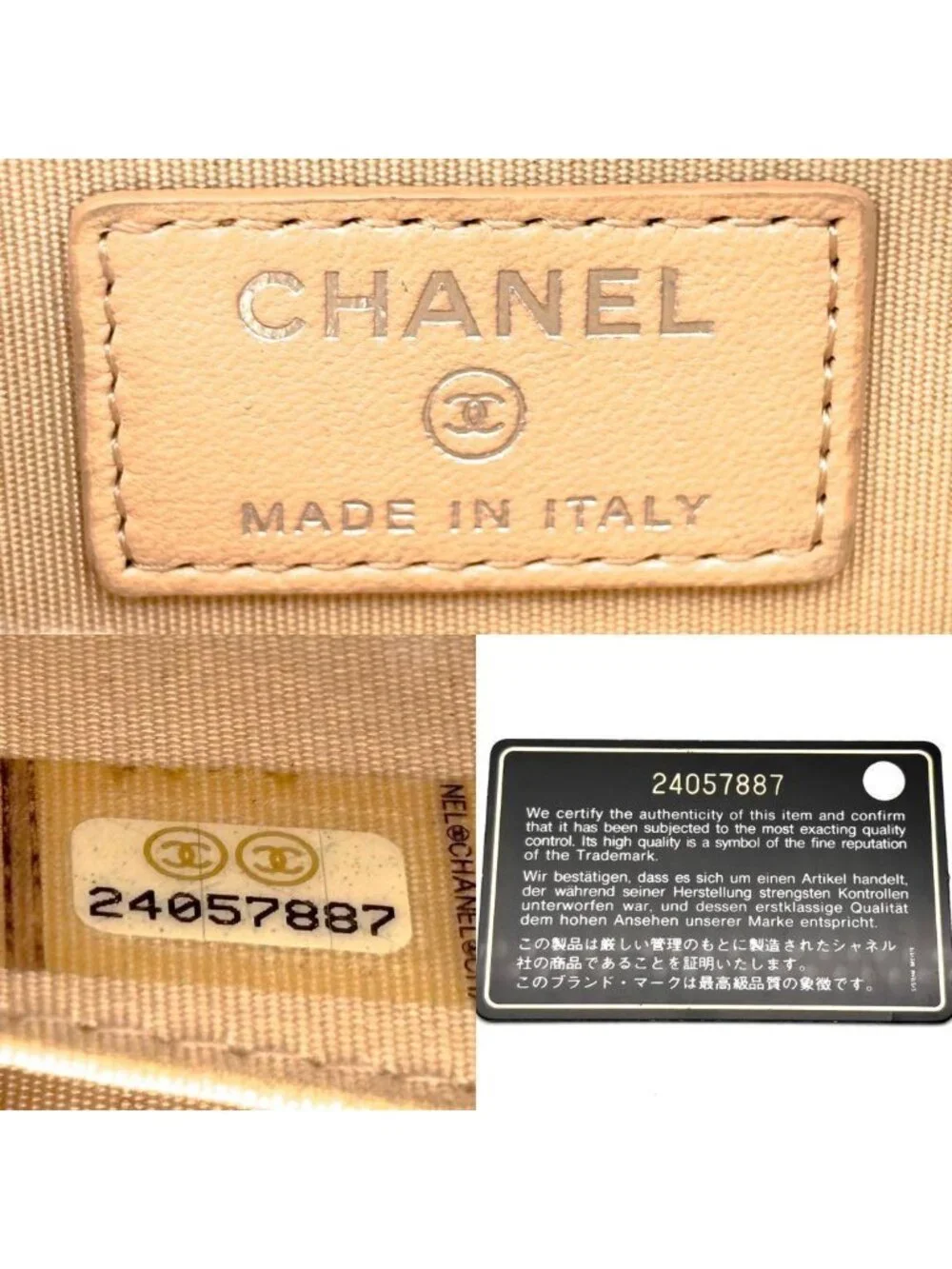 Chanel Wallet New Camellia Stitch Coin Purse